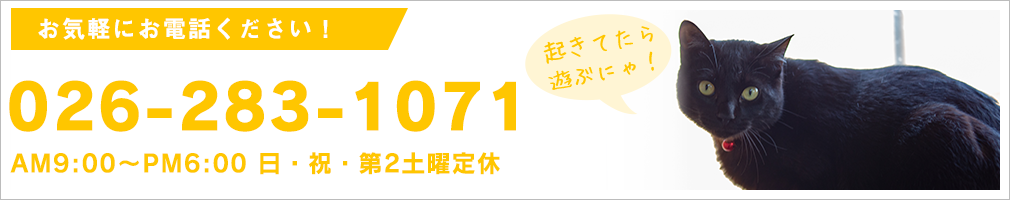 お気軽にお電話ください。026-283-1071 AM9:00~PM6:00 日 祝 第二土曜定休